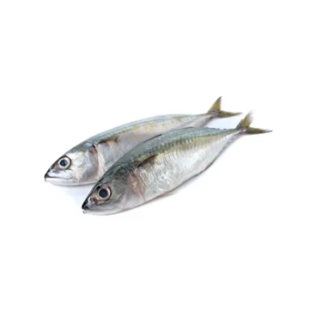 Ayala 1Kg