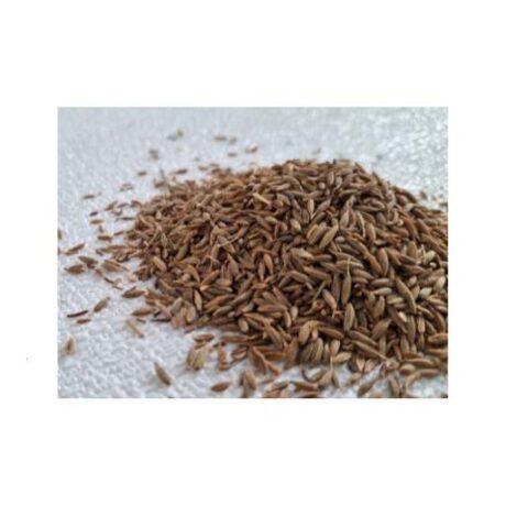 Melam Cumin (Jeerakam) 100gm