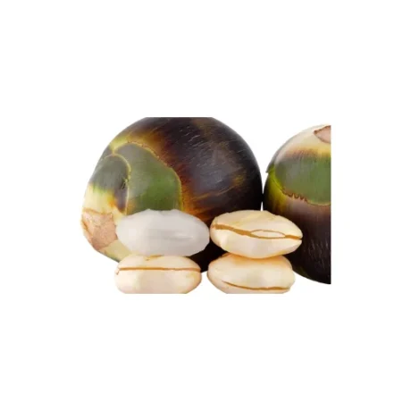 Palm fruit 500gm