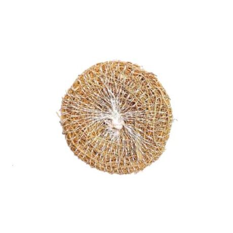 Ramacham Bath Scrubber (Clean++)