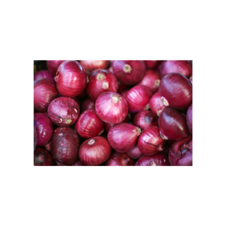 Savola – Big Onion 250gm