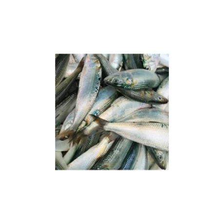 Naadan Chala Small 1Kg
