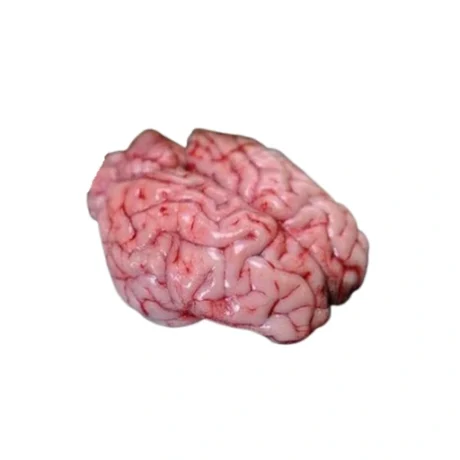 Mutton Brian (No)